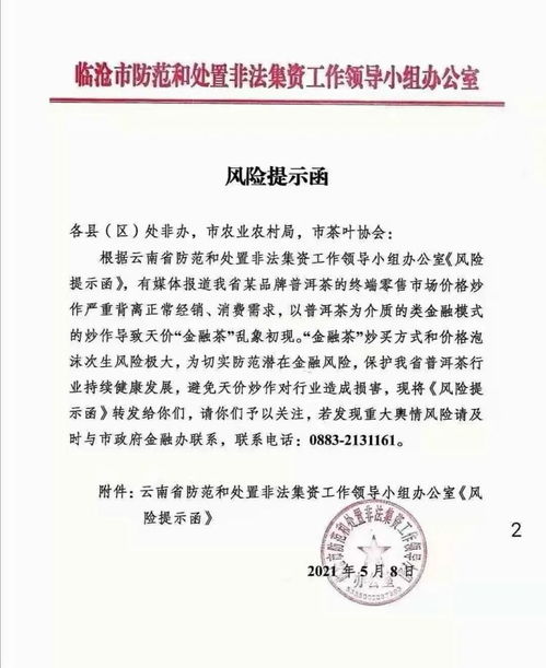 信都区惬意手作工艺品店正式成立 以手作之名，定格光影与温度