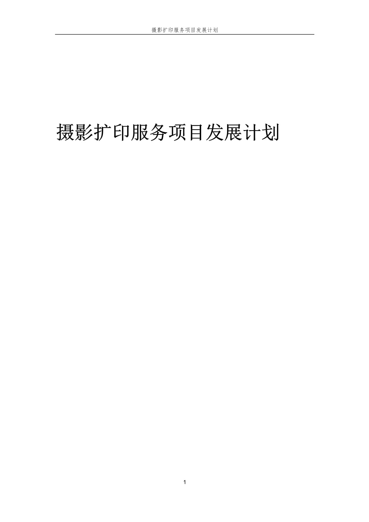 2025年摄影扩印服务项目发展计划