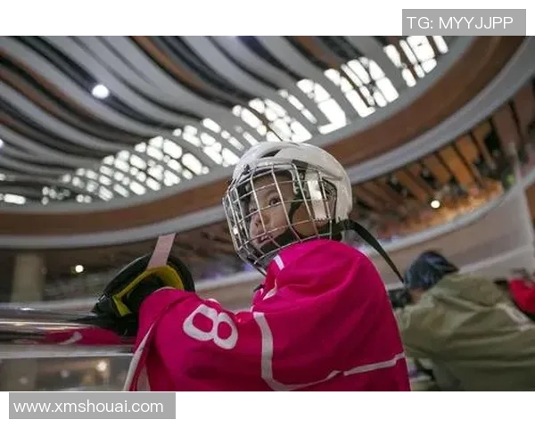 未来展望：冰球突破系列产品创新与市场拓展的战略思考与愿景